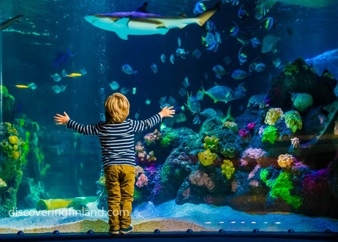 Океанариум Хельсинки Sea Life Океанариум Хельсинки Sea Life