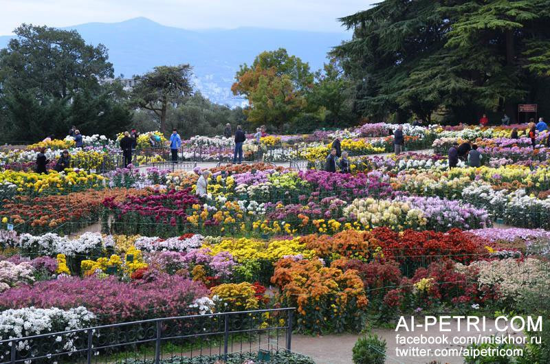 Отдых в Ялте с детьми Отдых в Ялте с детьми