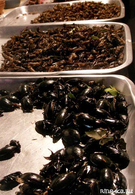 Жареные насекомые