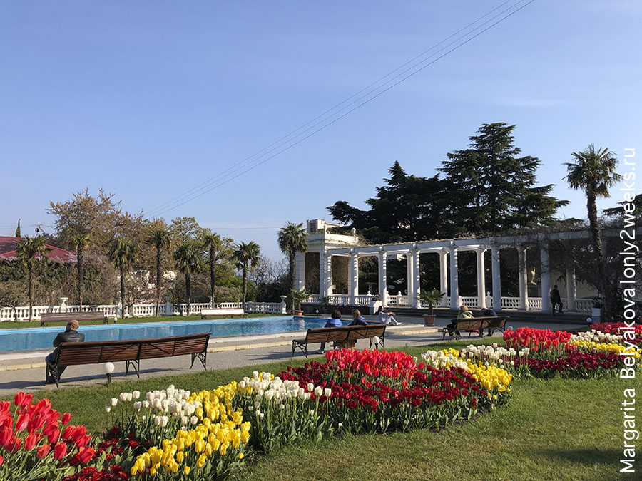 Никитский ботанический сад