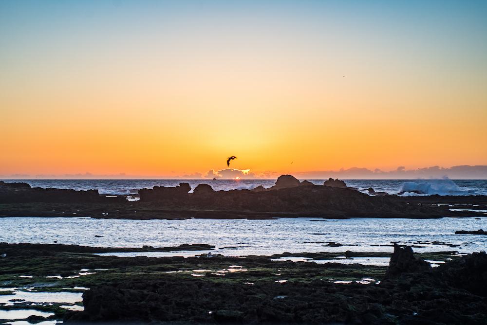 Серфинг в Марокко Серфинг в Марокко