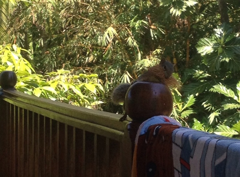 Бентота. Шри-Ланка