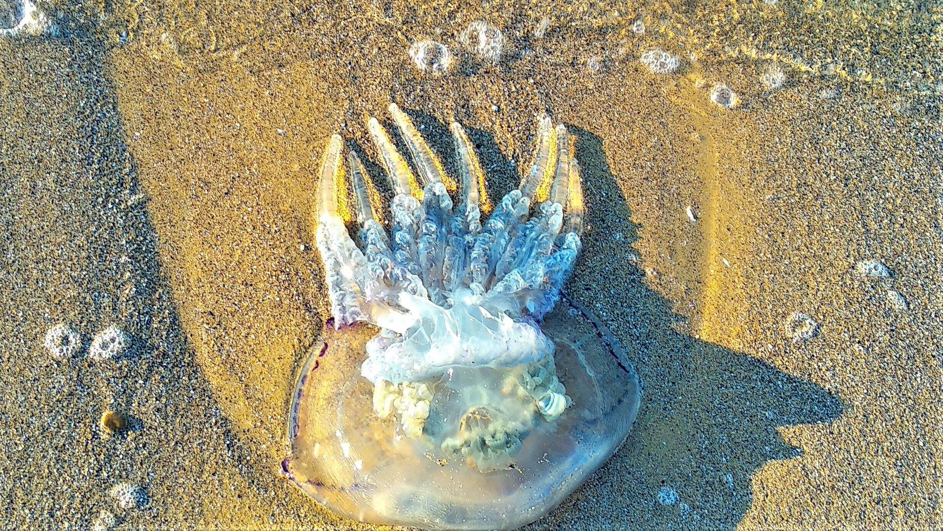 Чего остерегаться на Хайнане