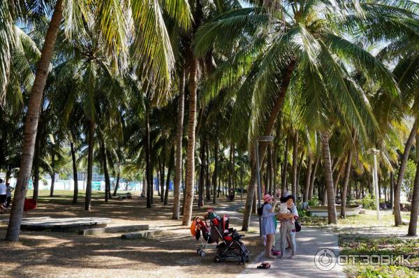 Бухта Саньяван