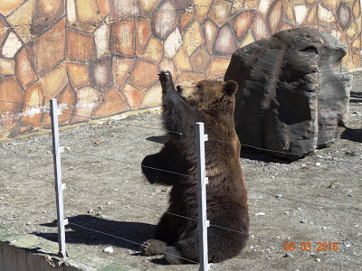 Тебердинский заповедник в Домбае