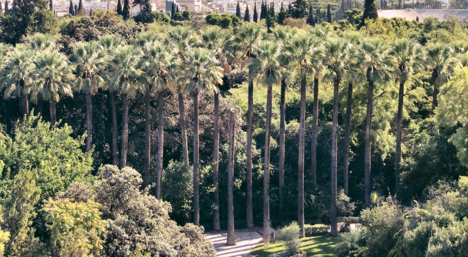 Национальный сад в Афинах Национальный сад в Афинах