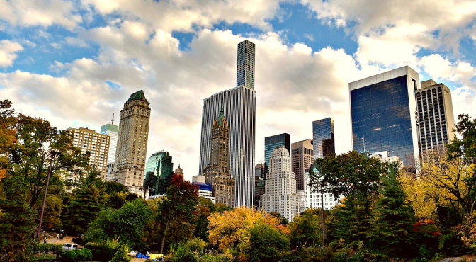 Катание на каретах Катание на каретах